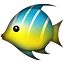 :tropical_fish: